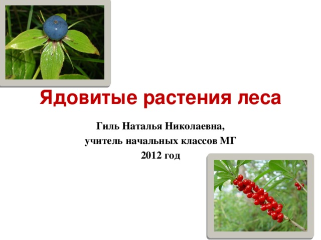 Ядовитые растения леса Гиль Наталья Николаевна, учитель начальных классов МГ 2012 год