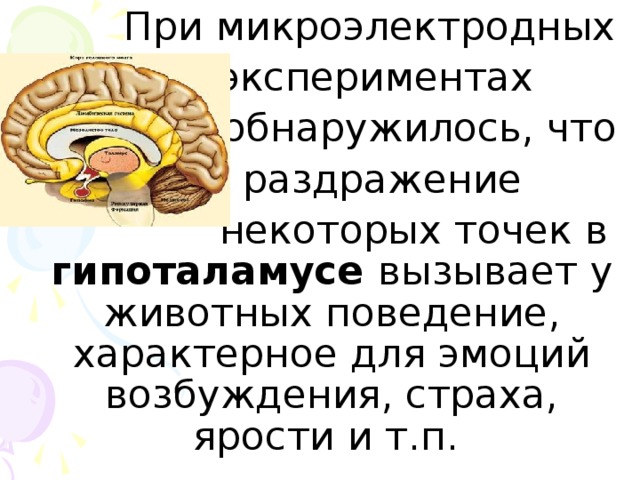 При микроэлектродных  экспериментах  обнаружилось, что  раздражение  некоторых точек в гипоталамусе вызывает у животных поведение, характерное для эмоций возбуждения, страха, ярости и т.п.