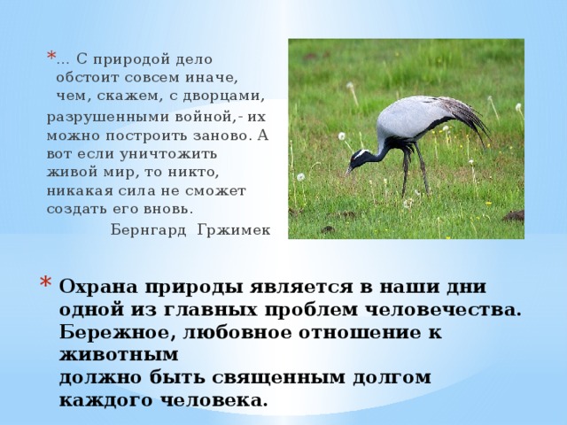 … С природой дело обстоит совсем иначе, чем, скажем, с дворцами, разрушенными войной,- их можно построить заново. А вот если уничтожить живой мир, то никто, никакая сила не сможет создать его вновь.  Бернгард Гржимек Охрана природы является в наши дни одной из главных проблем человечества. Бережное, любовное отношение к животным  должно быть священным долгом каждого человека.