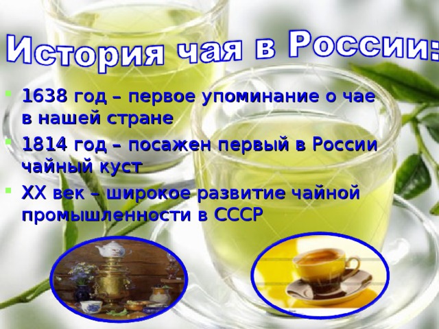 1638 год – первое упоминание о чае в нашей стране 1814 год – посажен первый в России чайный куст XX век – широкое развитие чайной промышленности в СССР