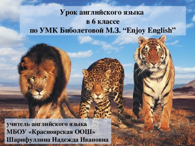 Урок английского языка в 6 классе по УМК Биболетовой М.З. “Enjoy English” учитель английского языка МБОУ «Красноярская ООШ» Шарифуллина Надежда Ивановна