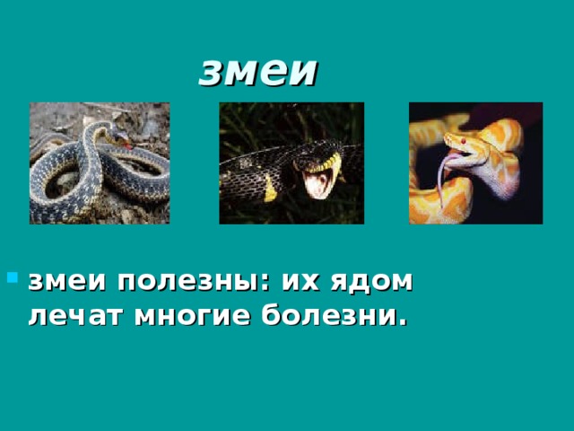 змеи