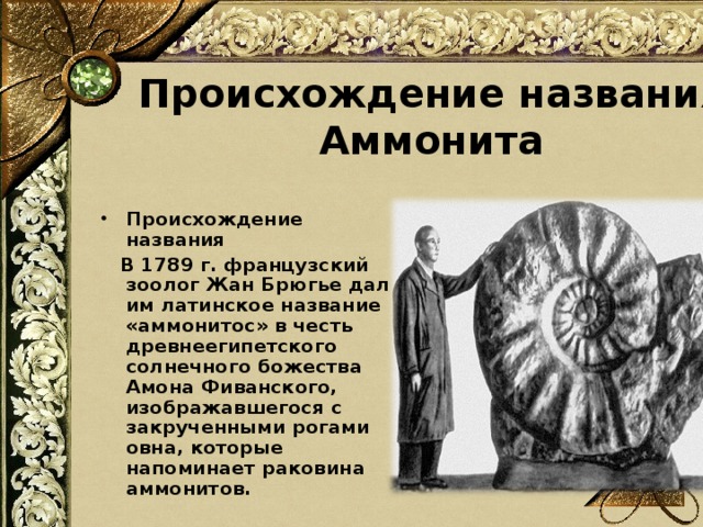 Происхождение названия Аммонита Происхождение названия  В 1789 г. французский зоолог Жан Брюгье дал им латинское название «аммонитос» в честь древнеегипетского солнечного божества Амона Фиванского, изображавшегося с закрученными рогами овна, которые напоминает раковина аммонитов.