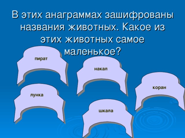 В этих анаграммах зашифрованы названия животных. Какое из этих животных самое маленькое? пират накал коран лунка шкала