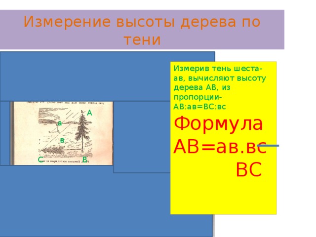 Измерение высоты дерева по тени Измерив тень шеста- ав, вычисляют высоту дерева АВ, из пропорции- АВ:ав=ВС:вс Формула АВ=ав.вс  ВС  А а в В С