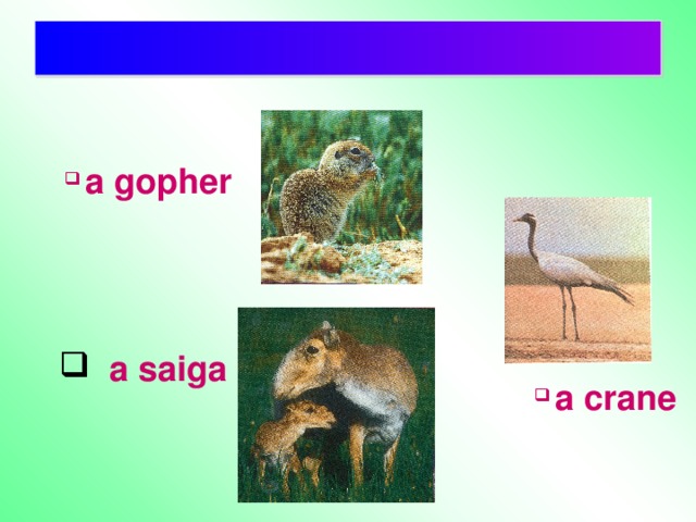 a gopher  a saiga   a crane  a crane  a crane  a crane