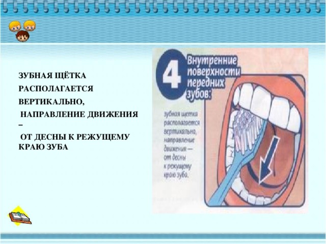 ЗУБНАЯ ЩЁТКА  РАСПОЛАГАЕТСЯ ВЕРТИКАЛЬНО,  НАПРАВЛЕНИЕ ДВИЖЕНИЯ –  ОТ ДЕСНЫ К РЕЖУЩЕМУ КРАЮ ЗУБА