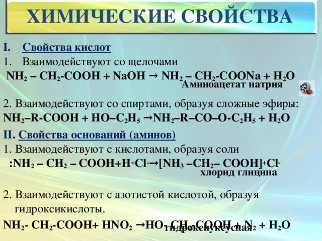 химические свойства Свойства кислот Взаимодействуют со щелочами  NH 2 – СН 2 -COOH + NaOH → NH 2 – СН 2 -COONa + H 2 O  2. Взаимодействуют со спиртами, образуя сложные эфиры: NH 2 –R-COOH + НО–С 2 Н 5  → NH 2 –R–CO–O-С 2 Н 5 + Н 2 О II. Свойства оснований (аминов) 1. Взаимодействуют с кислотами, образуя соли  :NH 2 – СН 2 – COOH+Н + Cl - →[NH 3 –СН 2 – COOH] + Cl -   2. Взаимодействуют с азотистой кислотой, образуя гидроксикислоты. NH 2 - CH 2 -COOH+ HNO 2 →НО- CH 2 -COOH + N 2 + Н 2 О Аминоацетат натрия хлорид глицина гидроксиуксусная