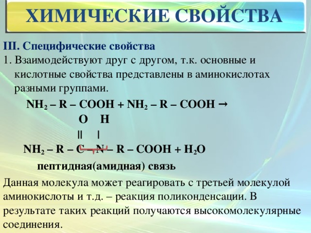 химические свойства III. Специфические свойства 1. Взаимодействуют друг с другом, т.к. основные и кислотные свойства представлены в аминокислотах разными группами.  NH 2 – R – COOH + NH 2 – R – COOH →    || |  NH 2 – R – C – N – R – COOH + H 2 O  пептидная(амидная) связь Данная молекула может реагировать с третьей молекулой аминокислоты и т.д. – реакция поликонденсации. В результате таких реакций получаются высокомолекулярные соединения.  О Н