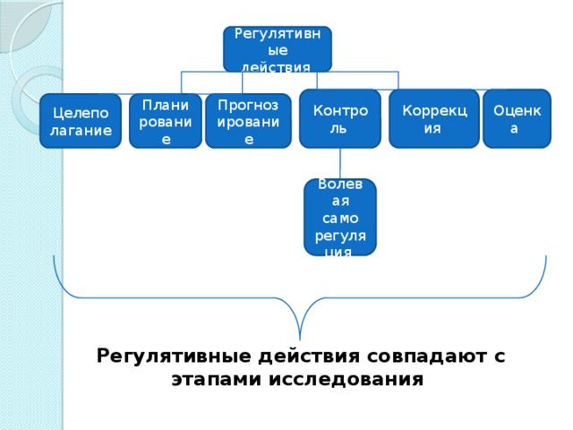 Регулятивные действия Контроль Коррекция Оценка Прогнозирование Целеполагание Планирование Волевая само регуляция Регулятивные действия совпадают с этапами исследования