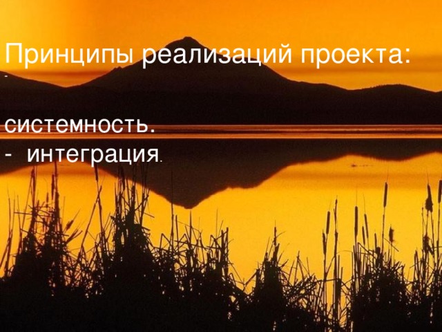 Принципы реализаций проекта: - системность. - интеграция .