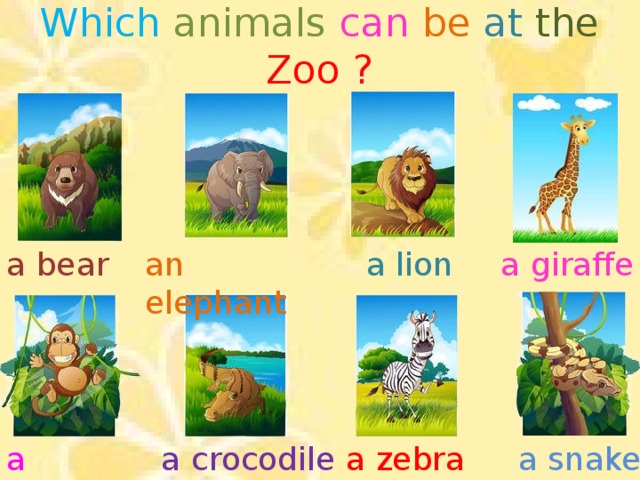 Which animals  can  be  at  the  Zoo  ? an elephant a lion a bear a giraffe a snake a crocodile a zebra a monkey