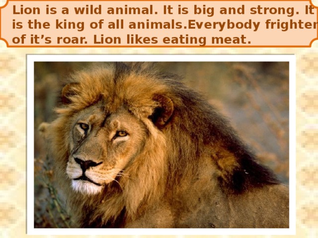 Lion is a wild animal. It is big and strong. It is the king of all animals.Everybody frighten of it’s roar. Lion likes eating meat.