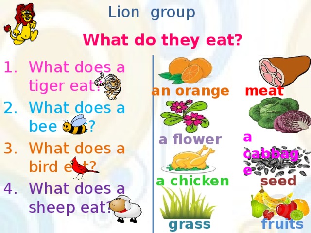 Lion group What do they eat? What does a tiger eat? What does a bee eat? What does a bird eat? What does a sheep eat? an orange meat a cabbage a flower a chicken seed grass fruits