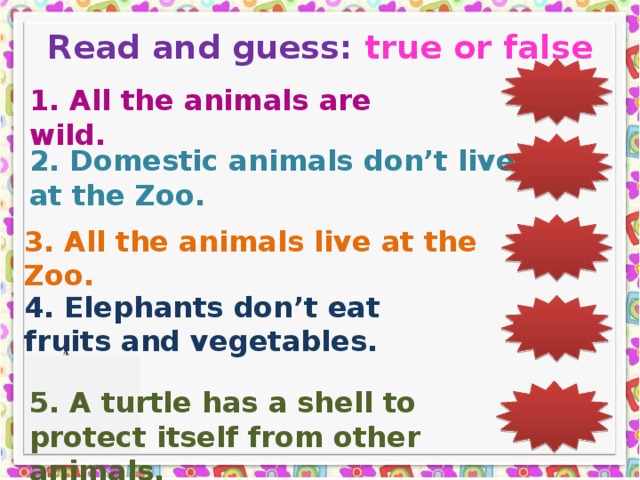 Read and guess: true or false False 1. All the animals are wild. 2. Domestic animals don’t live at the Zoo.  True 3. All the animals live at the Zoo.  False 4. Elephants don’t eat fruits and vegetables. False 5. A turtle has a shell to protect itself from other animals. True 23
