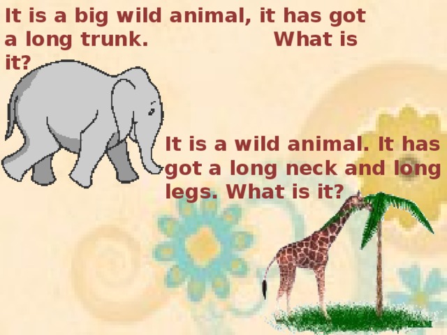 It is a big wild animal, it has got a long trunk. What is it? It is a wild animal. It has got a long neck and long legs. What is it?