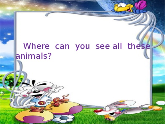 Where can you see all these animals?