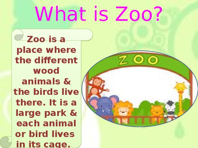 What is Zoo? Zoo is a place where the different wood animals & the birds live there. It is a large park & each animal or bird lives in its cage.