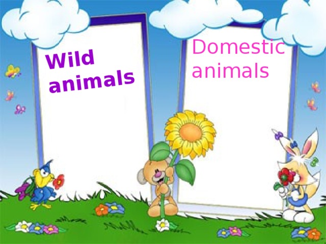 Wild animals  Domestic  animals