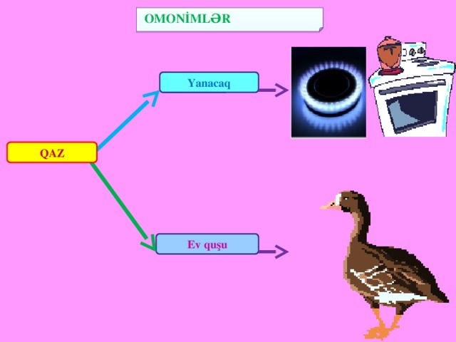 OMONİMLƏR   Yanacaq  QAZ (“Yanacaq” və “Ev quşu” cədvəllərinə toxunun)  Ev quşu