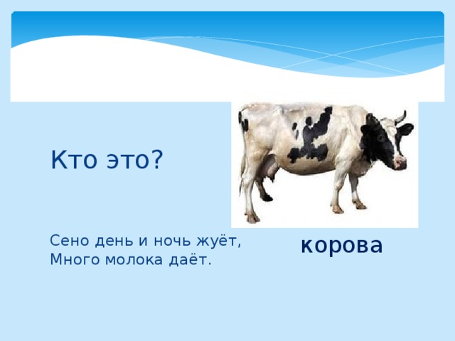Кто это? корова Сено день и ночь жуёт, Много молока даёт.