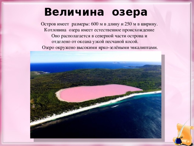 Величина озера Остров имеет размеры: 600 м в длину и 250 м в ширину.  Котловина озера имеет естественное происхождение Оно располагается в северной части острова и  отделено от океана узкой песчаной косой.  Озеро окружено высокими ярко-зелёными эвкалиптами.