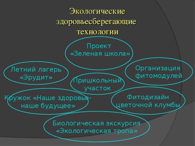 Экологические здоровьесберегающие технологии Проект  «Зеленая школа» Организация фитомодулей Летний лагерь «Эрудит» Пришкольный участок Фитодизайн цветочной клумбы Кружок «Наше здоровье- наше будущее» Биологическая экскурсия «Экологическая тропа»