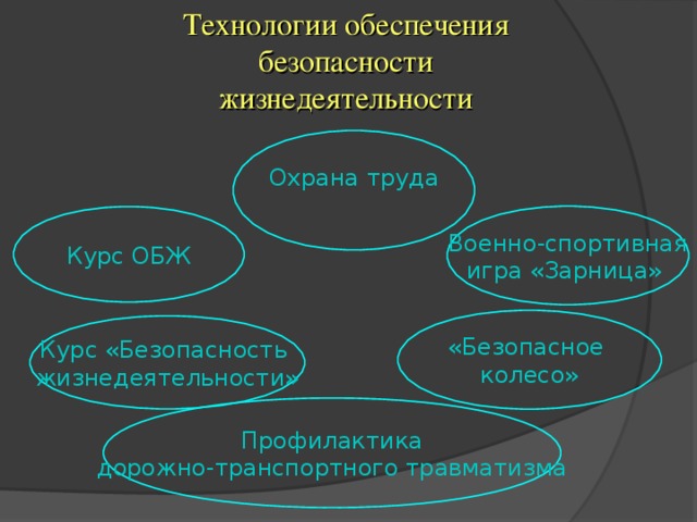 Технологии обеспечения безопасности жизнедеятельности Охрана труда Военно-спортивная игра «Зарница» Курс ОБЖ «Безопасное колесо» Курс «Безопасность жизнедеятельности» Профилактика дорожно-транспортного травматизма