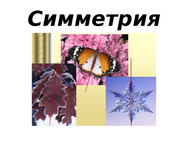 Симметрия