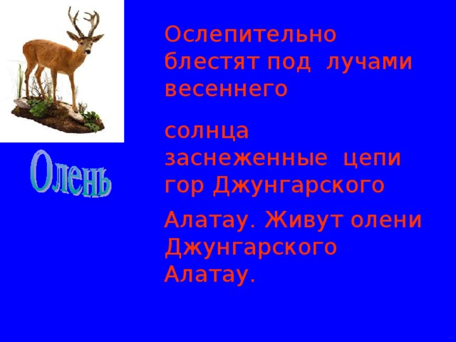 Ослепительно блестят под лучами весеннего солнца заснеженные цепи гор Джунгарского Алатау. Живут олени Джунгарского Алатау.