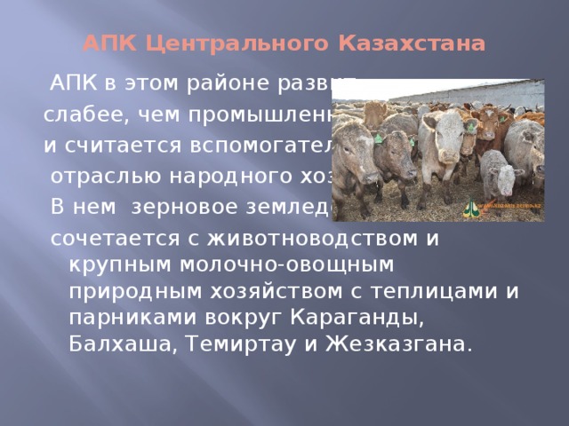 АПК Центрального Казахстана  АПК в этом районе развит слабее, чем промышленность, и считается вспомогательной  отраслью народного хозяйства.  В нем зерновое земледелие  сочетается с животноводством и крупным молочно-овощным природным хозяйством с теплицами и парниками вокруг Караганды, Балхаша, Темиртау и Жезказгана.