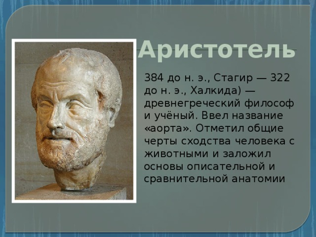 Аристотель 384 до н. э., Стагир — 322 до н. э., Халкида) — древнегреческий философ и учёный. Ввел название «аорта». Отметил общие черты сходства человека с животными и заложил основы описательной и сравнительной анатомии