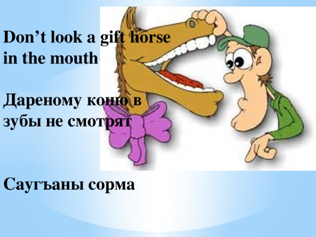 Don’t look a gift horse in the mouth   Дареному коню в зубы не смотрят    Саугъаны сорма