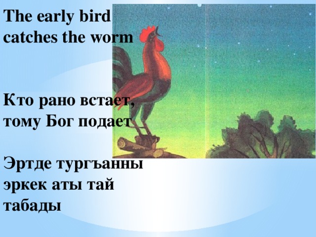 The early bird catches the worm    Кто рано встает, тому Бог подает   Эртде тургъанны эркек аты тай табады