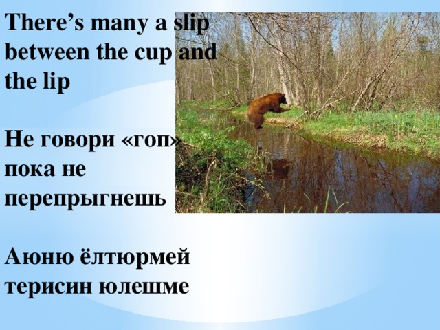 There’s many a slip between the cup and the lip   Не говори «гоп» пока не перепрыгнешь   Аюню ёлтюрмей терисин юлешме