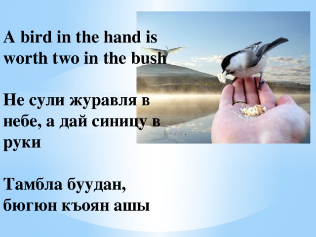 A bird in the hand is worth two in the bush   Не сули журавля в небе, а дай синицу в руки   Тамбла буудан, бюгюн къоян ашы