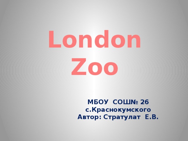 London Zoo МБОУ СОШ№ 26 с.Краснокумского Автор: Стратулат Е.В.