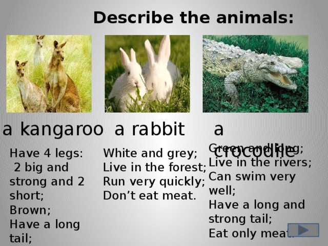 Describe the animals: a kangaroo a crocodile a rabbit Green and long; Live in the rivers; Can swim very well; Have a long and strong tail; Eat only meat. Have 4 legs: White and grey; Live in the forest;  2 big and strong and 2 short; Run very quickly; Brown; Don’t eat meat. Have a long tail; Don’t eat meat .