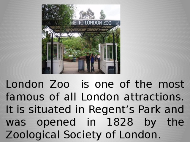 London Zoo  is one of the most famous of all London attractions. It is situated in Regent’s Park and was opened in 1828 by the Zoological Society of London.