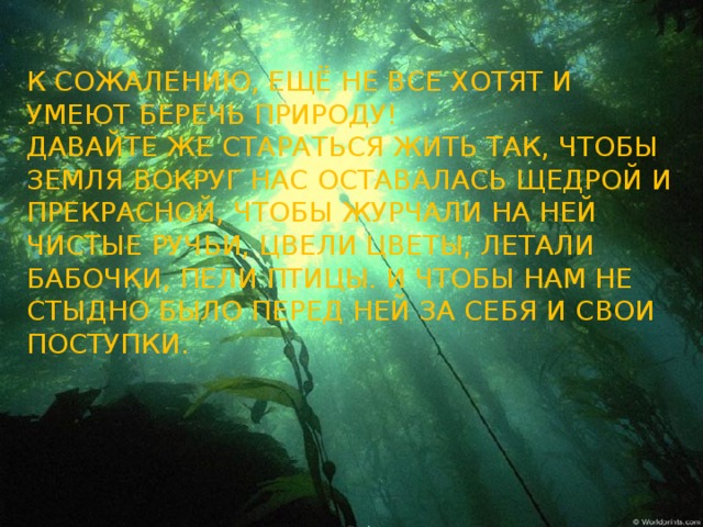 К сожалению, ещё не все хотят и умеют беречь природу!  Давайте же стараться жить так, чтобы земля вокруг нас оставалась щедрой и прекрасной, чтобы журчали на ней чистые ручьи, цвели цветы, летали бабочки, пели птицы. И чтобы нам не стыдно было перед ней за себя и свои поступки.