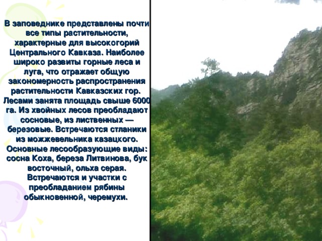 Особенности природы высокогорий 8 класс география презентация