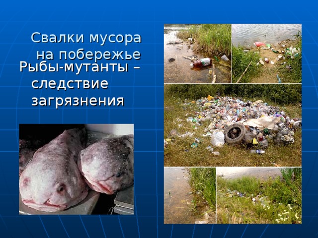 Свалки мусора  на побережье   Рыбы-мутанты – следствие загрязнения