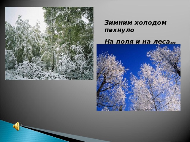 Зимним холодом пахнуло на леса. Зимним холодом пахнуло на поля и на леса. Первый снег зимним холодом пахнуло. Зимним холодом пахнуло на поля и на леса Автор. Зимним холодом пахнуло картинка.