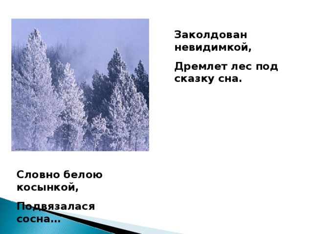 Заколдован невидимкой, Дремлет лес под сказку сна. Словно белою косынкой, Подвязалася сосна…