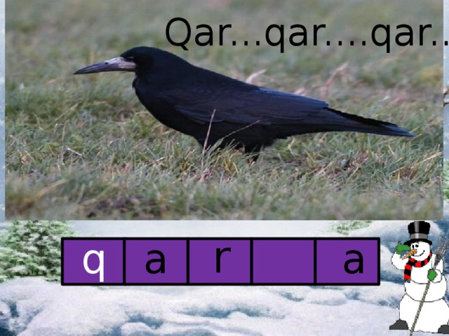 Qar...qar....qar... r q a a 17