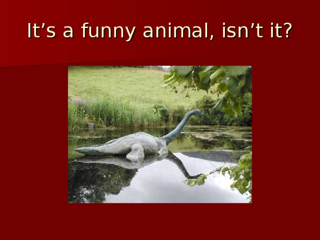 It’s a funny animal, isn’t it?