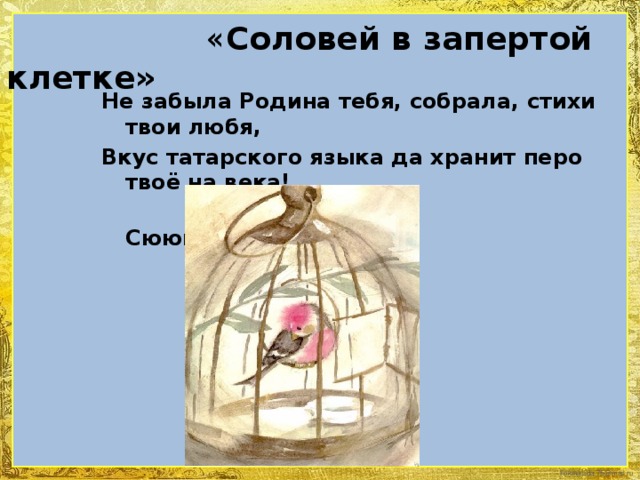 « Соловей в запертой клетке»  Не забыла Родина тебя, собрала, стихи твои любя, Вкус татарского языка да хранит перо твоё на века!  Сююмбике Досаева