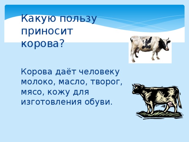 Какую пользу приносит корова? Корова даёт человеку молоко, масло, творог, мясо, кожу для изготовления обуви.