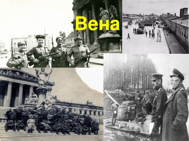 Вена