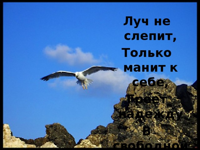 Луч не слепит, Только манит к себе, Греет надежду В свободной душе